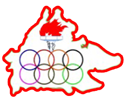 logo skts